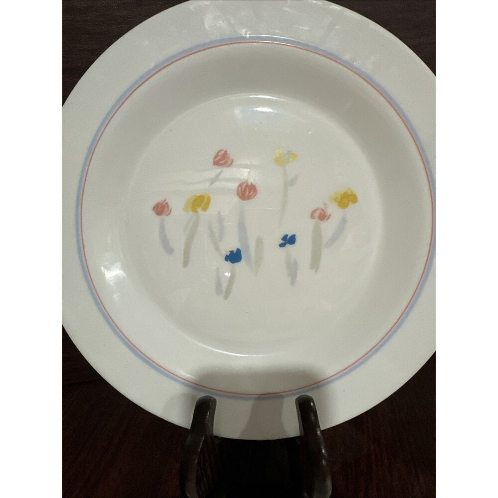 Vintage ARCOPAL Plate Glass Dinner Plates France Set of 5 (564)
